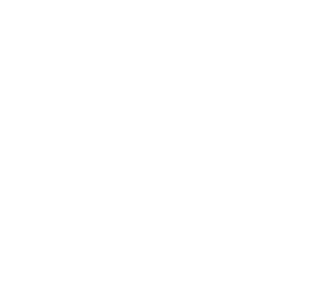 Daniel Zimmer Logo – Kundenreferenz von SEO Smile